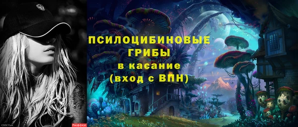 шишки Балабаново