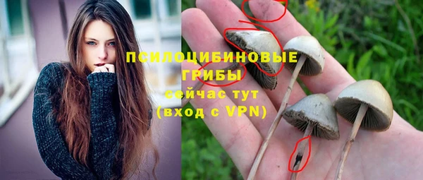 круглые Белокуриха